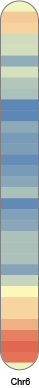 chr6