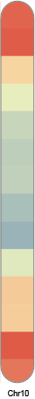 chr10