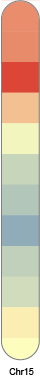 chr15