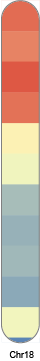 chr18