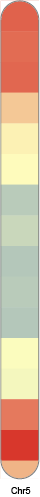 chr5