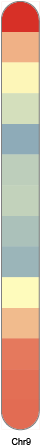 chr9