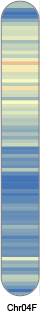 chr30