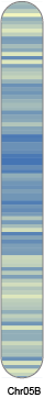 chr34