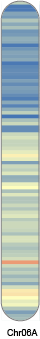 chr41