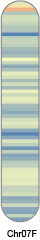 chr54