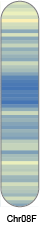 chr62