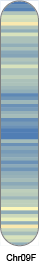 chr70