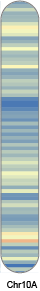 chr73