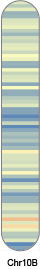 chr74